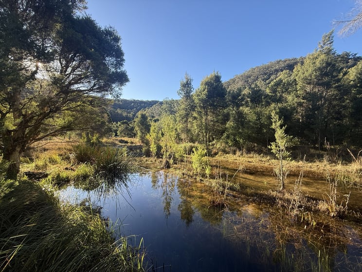 256 Olney Arm Road Laguna NSW 2325 - Image 3