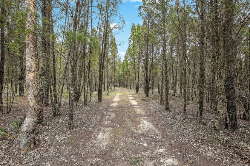 Click to view all images 1393 Spring Creek Road Mudgee NSW 2850 - Image 1