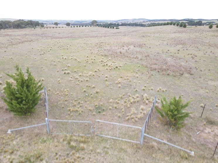 187 Woodhouselee Road Wayo NSW 2580 - Image 2