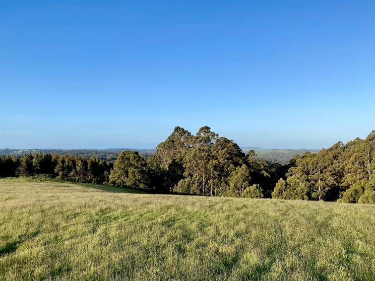 Click to view all images 1431 Preolenna Road Moorleah TAS 7325 - Image 3