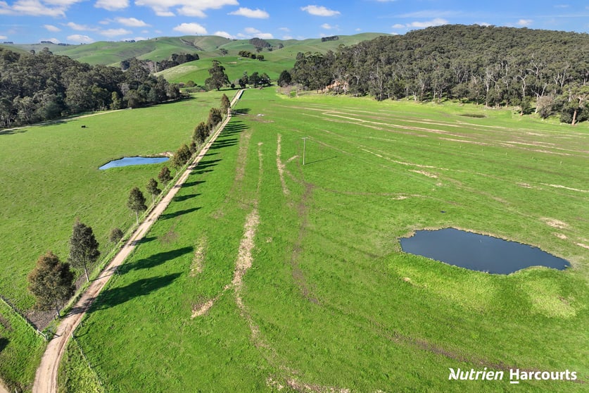 80 Suckling Road Kernot VIC 3979 - Image 3
