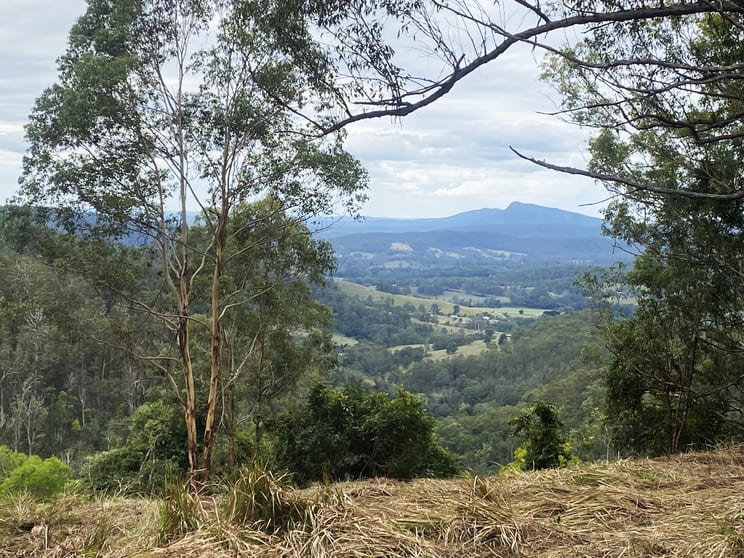 Click to view all images Lot 220 Comboyne Road Byabarra NSW 2446 - Image 1