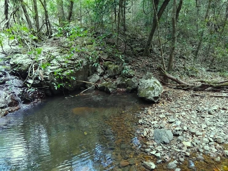 Click to view all images Lot 220 Comboyne Road Byabarra NSW 2446 - Image 3