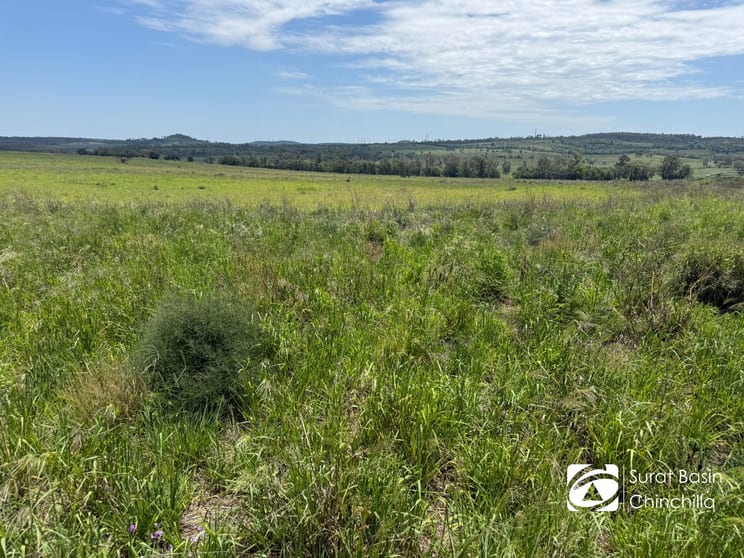 Click to view all images Oklahoma Kingaroy Jandowae Road Cooranga QLD 4408 - Image 3