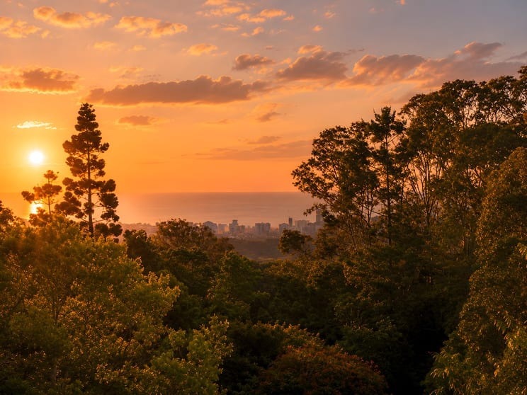 98 Blissetts Road Carool NSW 2486 - Image 2