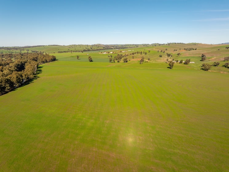 Click to view all images 460 Wokolena Road Wagga Wagga NSW 2650 - Image 2