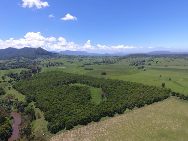 Click to view all images 139 Homestead Road Kyogle NSW 2474 - Image 1