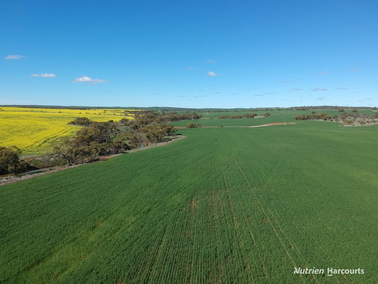 2174 Nanekine Road Mingenew WA 6522 - Image 2