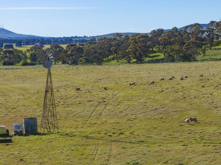 Click to view all images Lot 3 Pistol Club Road Burra SA 5417 - Image 1