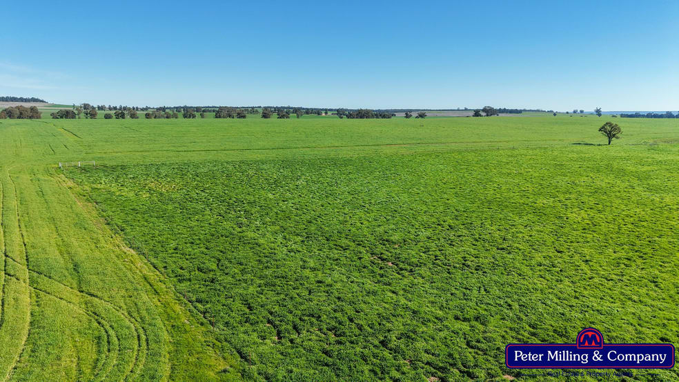 Click to view all images 48R Quamby Road Wongarbon NSW 2831 - Image 3