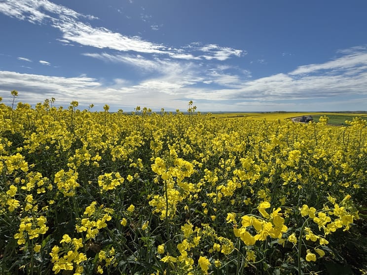 404 Marshalls Road Ungarra SA 5607 - Image 3