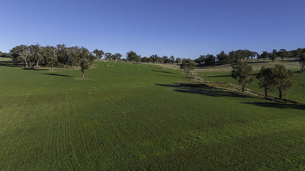 "Chippendale" 1337 Baldersleigh Road Guyra NSW 2365 - Image 3