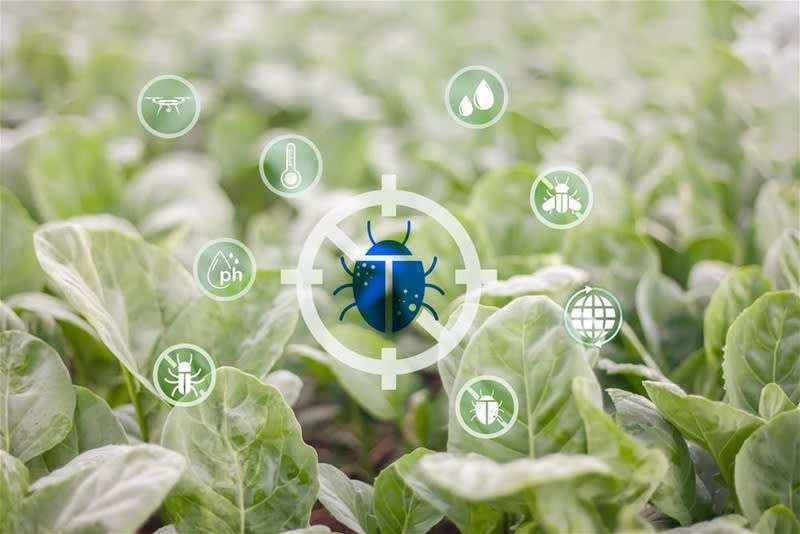 Gardening  business for sale in Sydney - Image 1