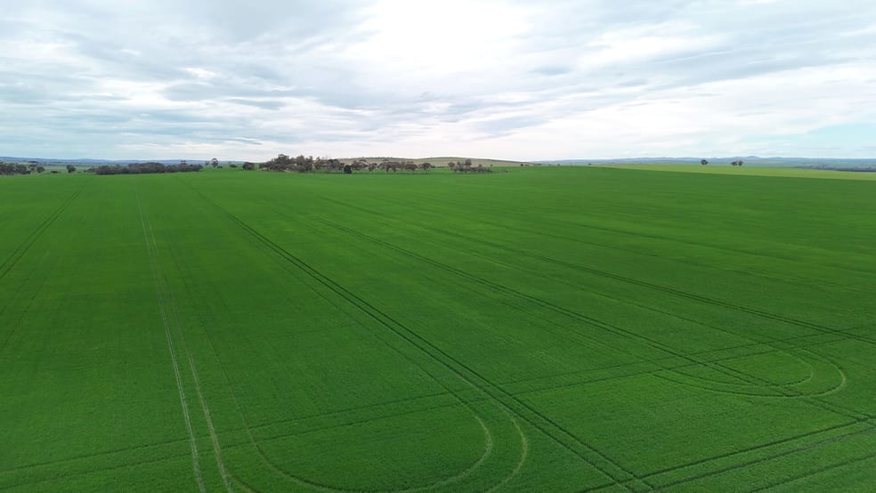 'Hillview' Wilkins Highway Gladstone SA 5473 - Image 1