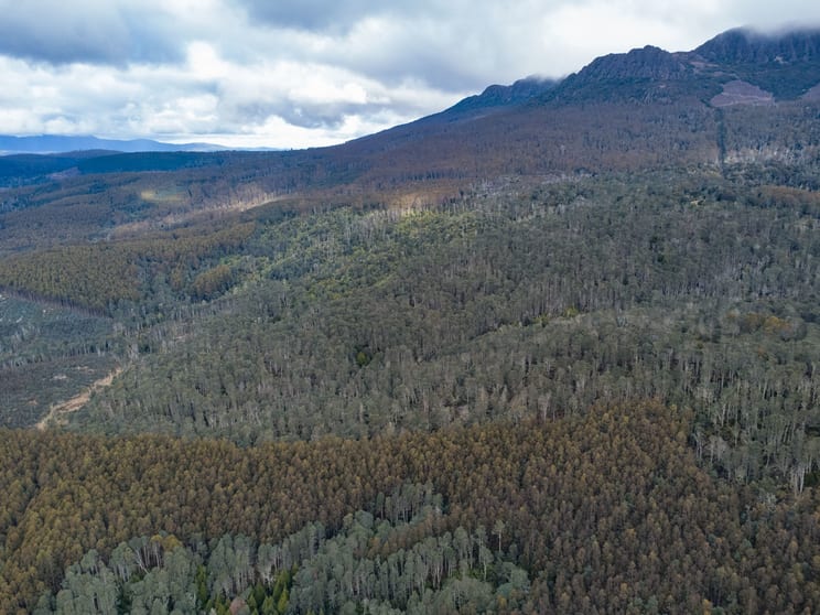 Click to view all images 1003 Mount Barrow Road Nunamara TAS 7259 - Image 2