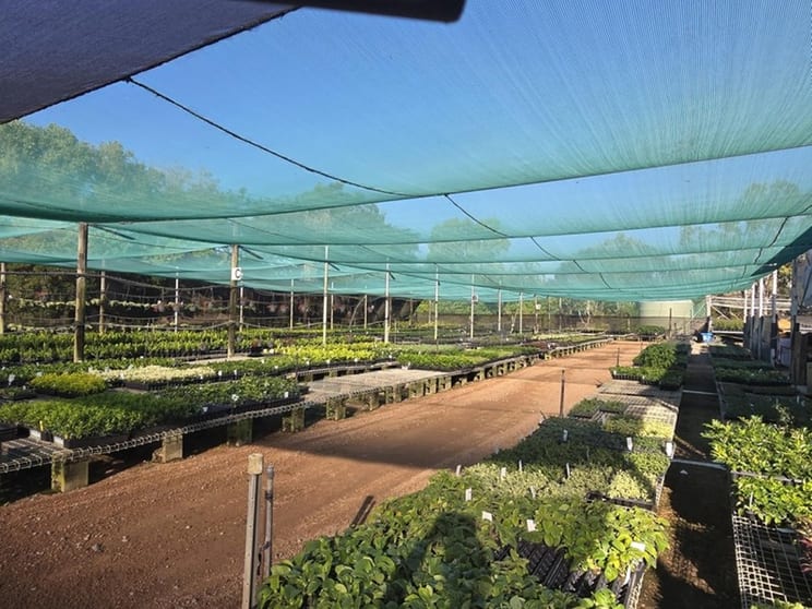 Nursery  business for sale in QLD - Image 1