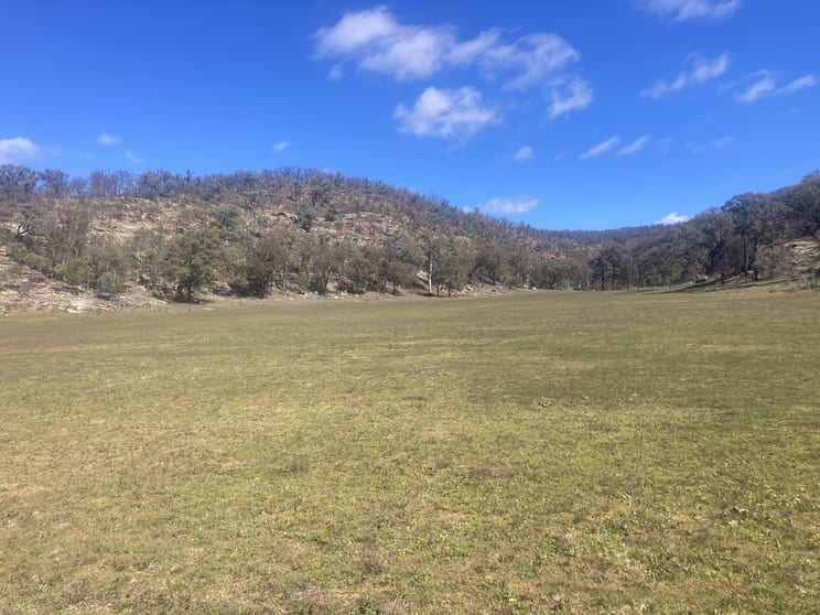 1950 FLAGGS ROAD Gungal NSW 2333 - Image 3