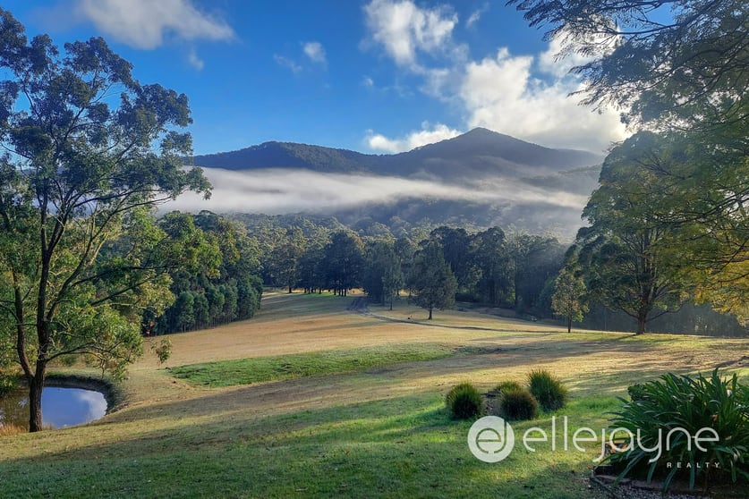 144 Leiberts Lane Brunkerville NSW 2323 - Image 1