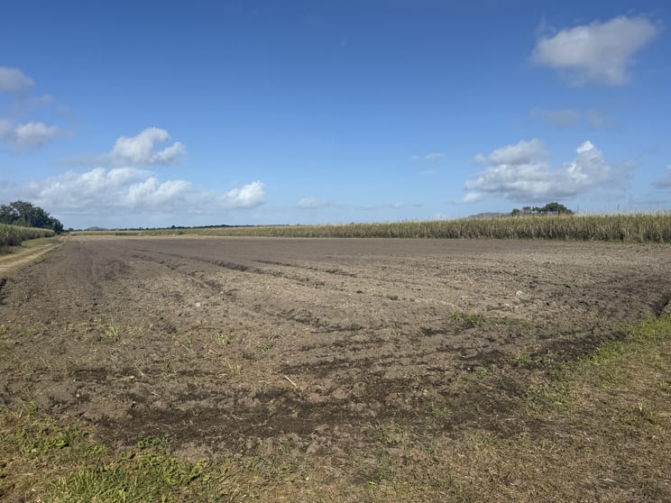 Silkwood QLD 4856 - Image 3