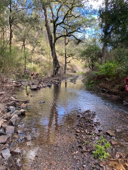 Lot 20 Top Swanfels Road Swanfels QLD 4371 - Image 2