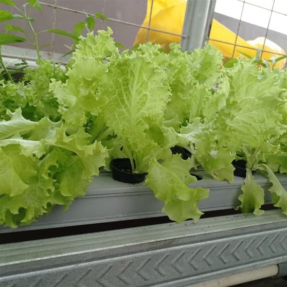 Agricultural  business for sale in Melbourne - Image 3