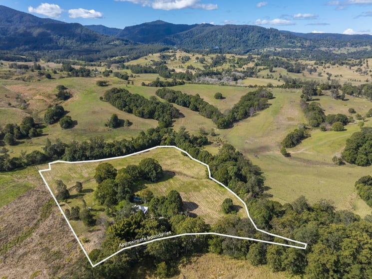 162 BLUE KNOB ROAD Nimbin NSW 2480 - Image 2