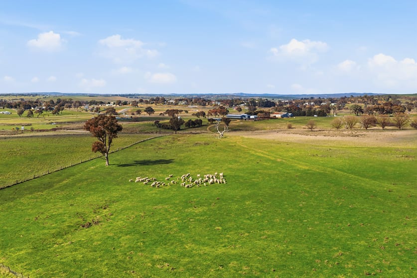 Click to view all images 96 Dalton Road Gunning NSW 2581 - Image 3
