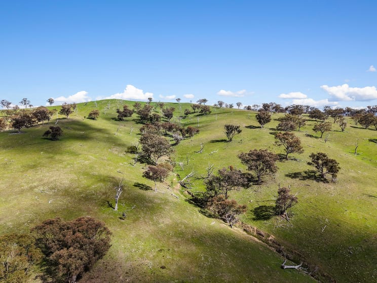 Lot 1301, Queens Pinch Road Mudgee NSW 2850 - Image 3