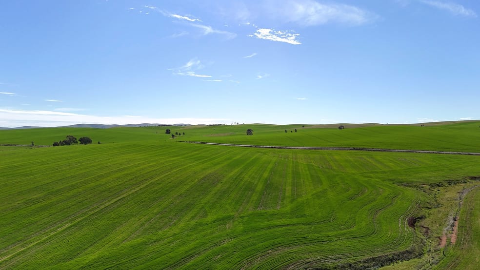 Click to view all images 'Siegerts' Section 3 Goyder Highway Spalding SA 5454 - Image 3