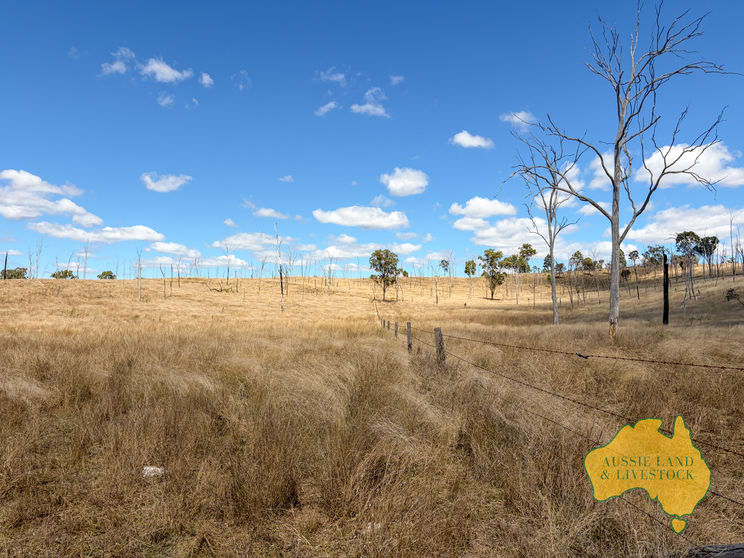 Branch Creek QLD 4625 - Image 1