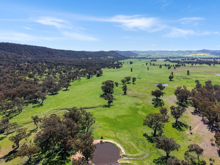 223 Rodwells Road Murga NSW 2864 - Image 2
