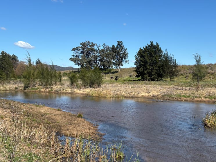 560 Mt Dangar Road Baerami NSW 2333 - Image 2