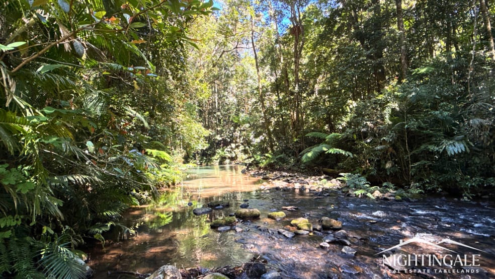 499 Old Cairns Track Butchers Creek QLD 4885 - Image 3
