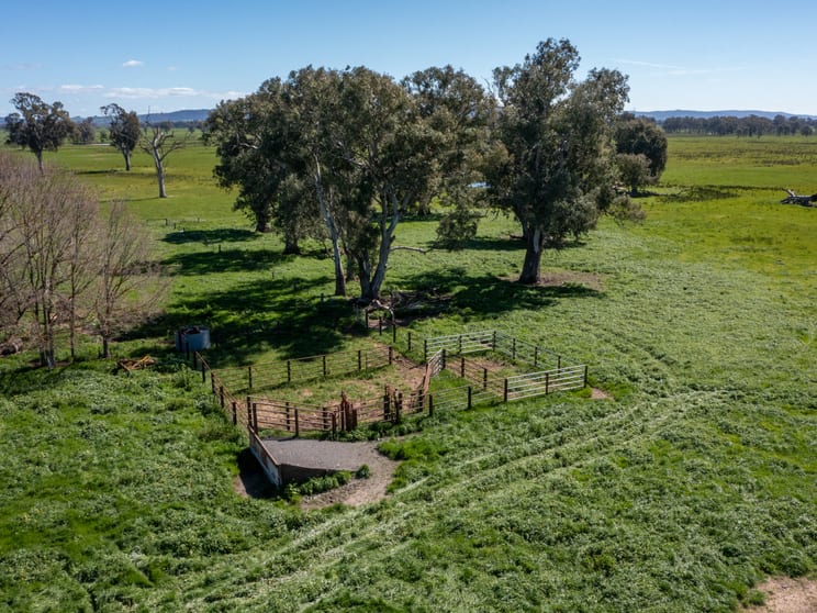 Click to view all images CA 1B/16 Simpson Lane Docker VIC 3678 - Image 3