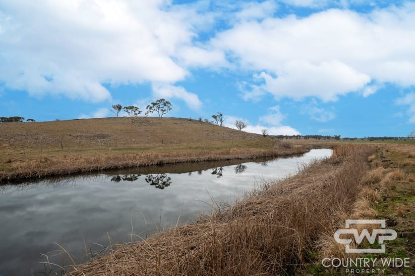 Click to view all images Plain View, 916 Emmaville Road Glen Innes NSW 2370 - Image 3