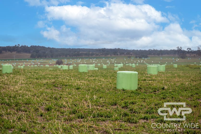 Click to view all images Plain View South, 91 Emmaville Road Glen Innes NSW 2370 - Image 2