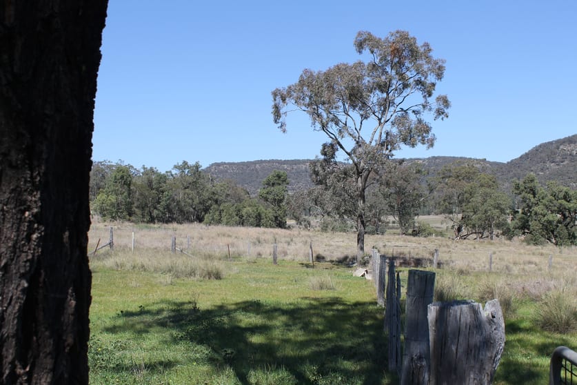 Golden Highway Sandy Hollow NSW 2333 - Image 2