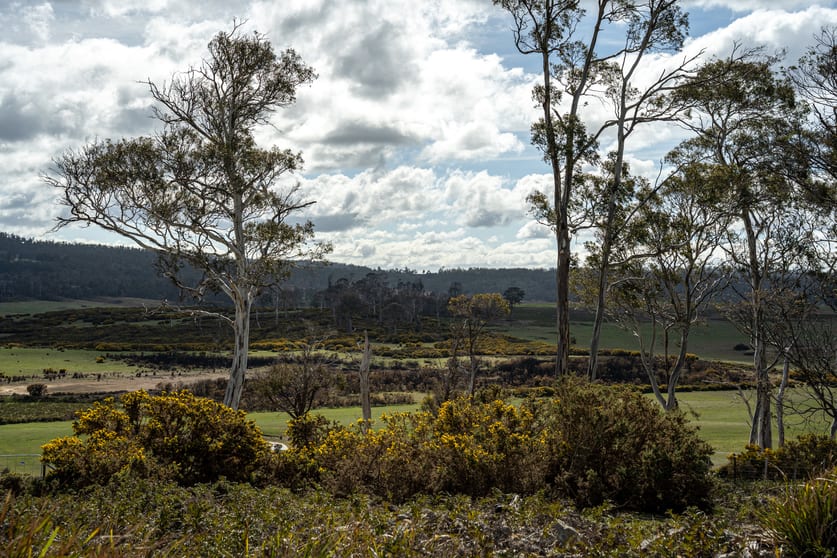 'East Dundee' Stonehenge Road Whitefoord TAS 7120 - Image 3