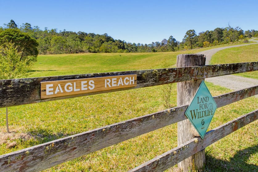 Click to view all images 299 Nevilles Road Nooroo NSW 2415 - Image 2