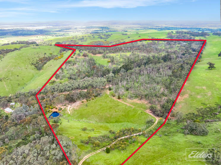 295C Braeside Road Mount Observation SA 5255 - Image 3