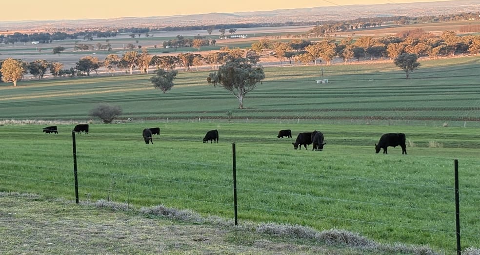 Click to view all images 1036 Rob Roy Road Inverell NSW 2360 - Image 1