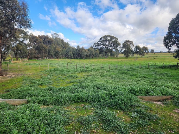 30 Popples Lane Hilldene VIC 3660 - Image 3
