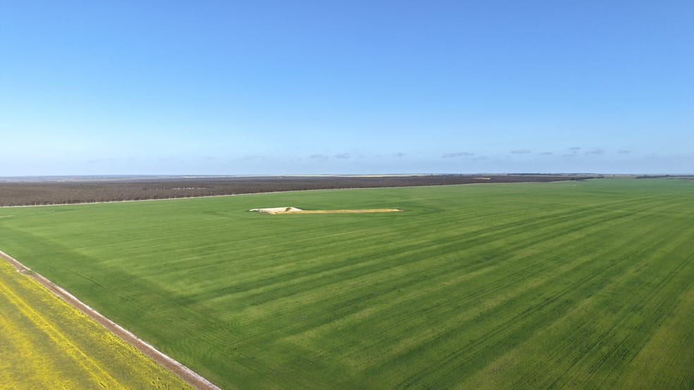 1663 Lake North Road Jacup WA 6337 - Image 3