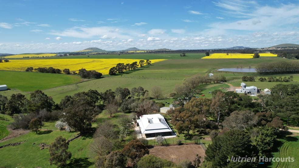 224 McKenzies Road Clunes VIC 3370 - Image 2