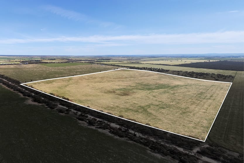 1681 Boundary Road Burdett SA 5253 - Image 3