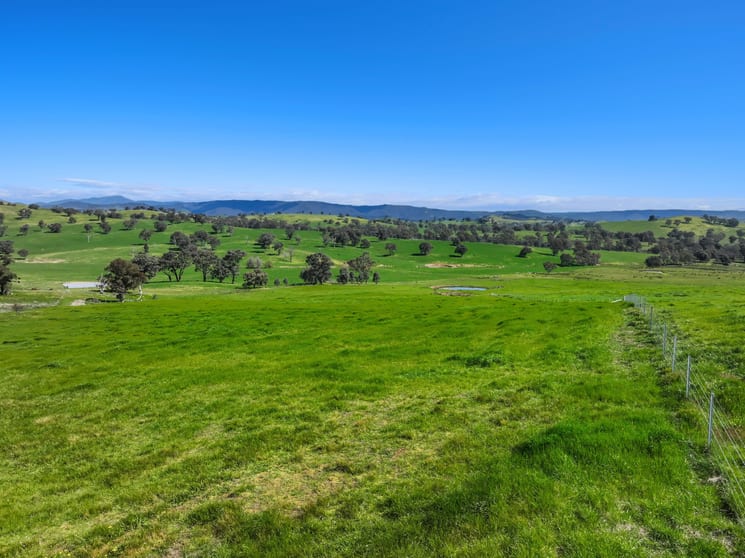 161 Owens Creek Drive Mansfield VIC 3722 - Image 3