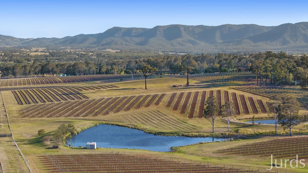 Click to view all images 257 Sweetwater Road Pokolbin NSW 2320 - Image 3