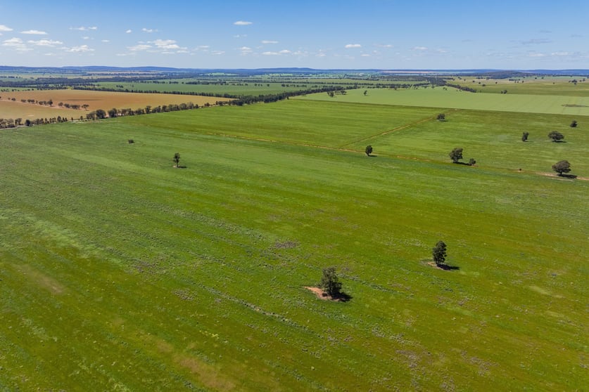 Click to view all images 584 Willows Road Ardlethan NSW 2665 - Image 1