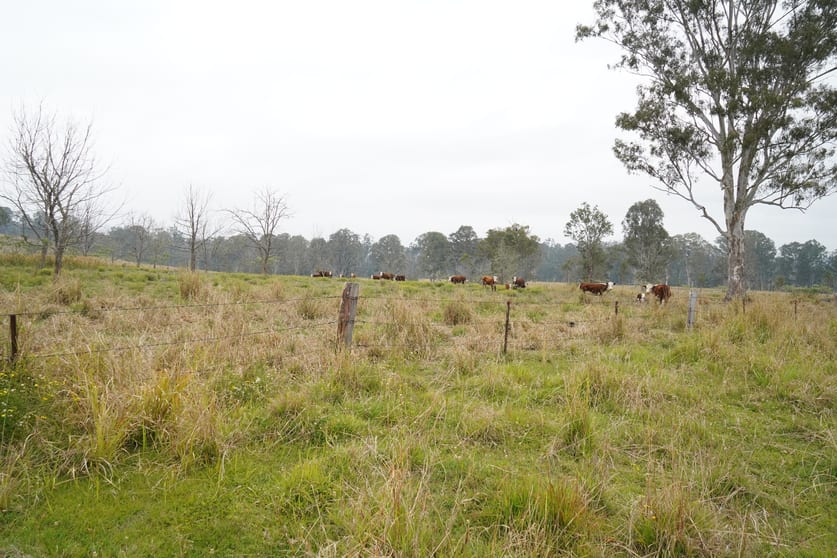 Click to view all images 70 Bairds Road Bonalbo NSW 2469 - Image 2