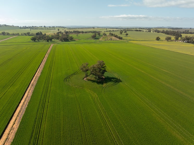 267 Gap Hall-Coolamon Road Downside NSW 2650 - Image 3